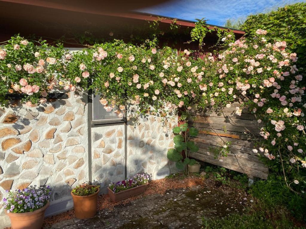 La Maison Du Potager Saint-Racho Zewnętrze zdjęcie