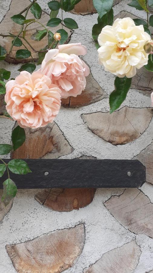 La Maison Du Potager Saint-Racho Zewnętrze zdjęcie